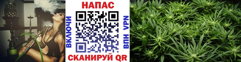 ОМГ ОМГ зеркало  где найти   Яблоновский  Канабис THC 21% 